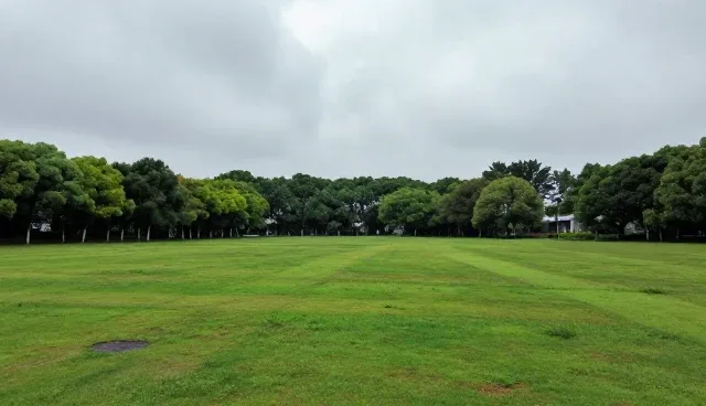 运维支持在数字化转型中的关键角色与未来趋势